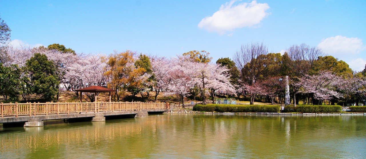 🏞️ 미사키 수변 공원(미사키 워터사이드 파크) 이미지 1